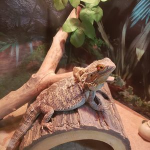 Meet your Posher, Christa